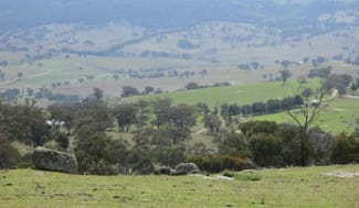 Rural / Farming commercial property sold at 2027 Ophir Rd Rock Forest NSW 2795 Rural / Farming commercial property sold at 2027 Ophir Rd Rock Forest NSW 2795