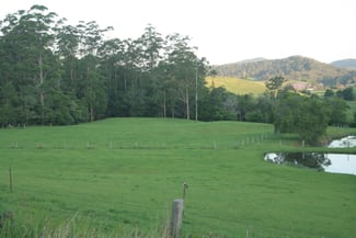 Rural / Farming commercial property sold at 86 Butts Creek Rd Taylors Arm NSW 2447 Rural / Farming commercial property sold at 86 Butts Creek Rd Taylors Arm NSW 2447