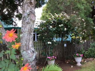 Rural / Farming commercial property sold at 19 Carrick Street Ravenshoe QLD 4888