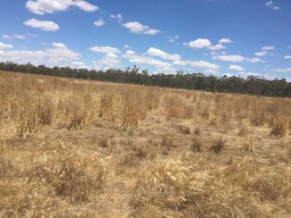 Rural / Farming commercial property sold at Lot 8 Bolangum Inn Road Kanya VIC 3387