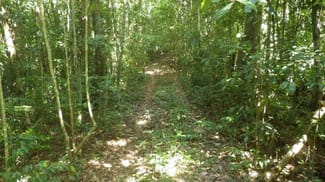 Rural / Farming commercial property sold at Ellinjaa QLD 4886