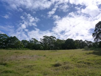 Rural / Farming commercial property for sale at 49 Old Gympie Rd Yandina QLD 4561
