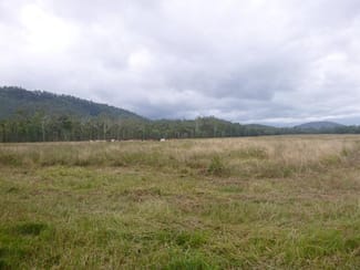 Rural / Farming commercial property sold at 1/ Carrig Dhown Road Long Pocket QLD 4850 Rural / Farming commercial property sold at 1/ Carrig Dhown Road Long Pocket QLD 4850