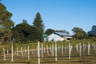 Rural / Farming commercial property sold at Dunoon NSW 2480 Rural / Farming commercial property sold at Dunoon NSW 2480