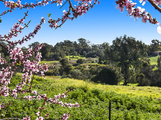 Rural / Farming commercial property for sale at 60 Cruse Road Belhus WA 6069 Rural / Farming commercial property for sale at 60 Cruse Road Belhus WA 6069