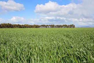 Rural / Farming commercial property sold at 2170 Foxhow Road Foxhow VIC 3323 Rural / Farming commercial property sold at 2170 Foxhow Road Foxhow VIC 3323