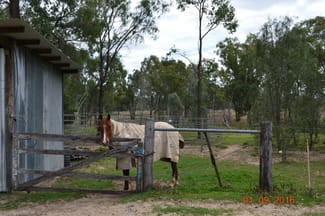 Rural / Farming commercial property sold at 76 Roche Creek Rd Wandoan QLD 4419 Rural / Farming commercial property sold at 76 Roche Creek Rd Wandoan QLD 4419