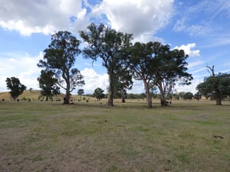 Rural / Farming commercial property sold at Lot 2 Whorouly South Road Whorouly South VIC 3735 Rural / Farming commercial property sold at Lot 2 Whorouly South Road Whorouly South VIC 3735