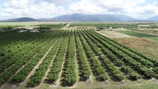 Rural / Farming commercial property for sale at Horseshoe Lagoon QLD 4809 Rural / Farming commercial property for sale at Horseshoe Lagoon QLD 4809