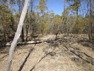 Rural / Farming commercial property for sale at Lot 140 Lucky Road Tara QLD 4421 Rural / Farming commercial property for sale at Lot 140 Lucky Road Tara QLD 4421