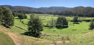 Rural / Farming commercial property sold at 1 Old Number Two Creek Road Percydale VIC 3478 Rural / Farming commercial property sold at 1 Old Number Two Creek Road Percydale VIC 3478