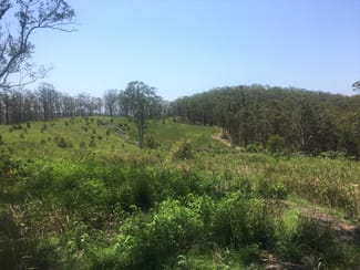 Rural / Farming commercial property sold at 702 Comboyne Road Bagnoo NSW 2446 Rural / Farming commercial property sold at 702 Comboyne Road Bagnoo NSW 2446