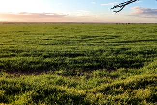 Rural / Farming commercial property for sale at 714-960 Harry Butler Road & 4 Honner Road Brentwood SA 5575