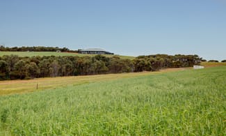 Rural / Farming commercial property sold at 84 Lovegrove Lane Whites Flat SA 5607