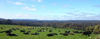 Rural / Farming commercial property sold at 110 Streets Road South Forest TAS 7330 Rural / Farming commercial property sold at 110 Streets Road South Forest TAS 7330