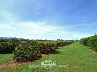 Rural / Farming commercial property sold at 209 Malone Road Mareeba QLD 4880 Rural / Farming commercial property sold at 209 Malone Road Mareeba QLD 4880