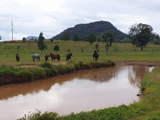 Rural / Farming commercial property sold at Gungal NSW 2333 Rural / Farming commercial property sold at Gungal NSW 2333