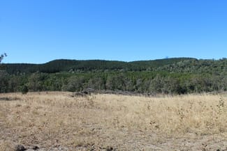 Rural / Farming commercial property sold at 0 Eadie Road Blackbutt QLD 4314 Rural / Farming commercial property sold at 0 Eadie Road Blackbutt QLD 4314