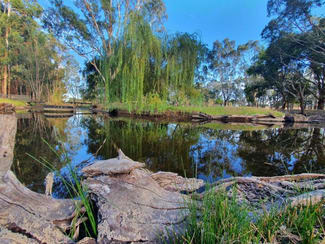 Rural / Farming commercial property sold at 1185 Wrattonbully road Wrattonbully SA 5271