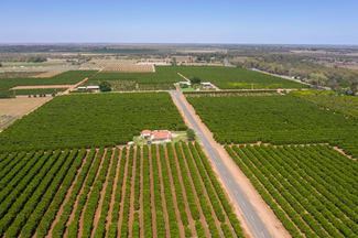 Rural / Farming commercial property for sale at 310 Delta Road Curlwaa NSW 2648