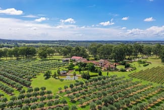 Rural / Farming commercial property sold at 259 De Beyers Road Pokolbin NSW 2320