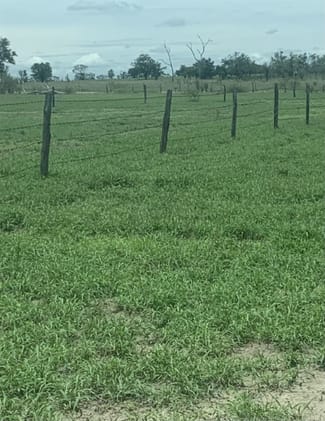 Rural / Farming commercial property for sale at 0 Tambo-Alpha Road Tambo QLD 4478 Rural / Farming commercial property for sale at 0 Tambo-Alpha Road Tambo QLD 4478