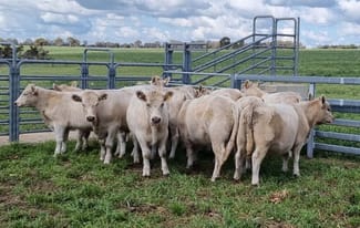 Rural / Farming commercial property sold at 189 Rumble Road Beverley WA 6304 Rural / Farming commercial property sold at 189 Rumble Road Beverley WA 6304