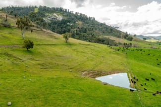 Rural / Farming commercial property sold at River Road Jingellic NSW 2642 Rural / Farming commercial property sold at River Road Jingellic NSW 2642