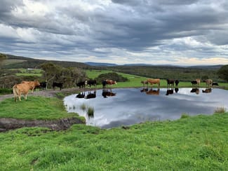 Rural / Farming commercial property sold at Lot 2 Mount Richard Road Kalgan WA 6330 Rural / Farming commercial property sold at Lot 2 Mount Richard Road Kalgan WA 6330