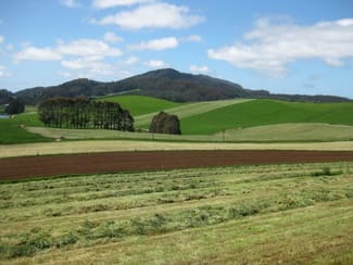 Rural / Farming commercial property for sale at . Clarkes Road South Riana TAS 7316