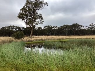 Rural / Farming commercial property for sale at Lot 2 Eurambeen-Raglan Road Beaufort VIC 3373 Rural / Farming commercial property for sale at Lot 2 Eurambeen-Raglan Road Beaufort VIC 3373