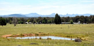 Rural / Farming commercial property for sale at 242 Jenkins Rd Bearbong NSW 2827