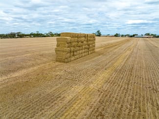 Rural / Farming commercial property for sale at Redbanks SA 5502 Rural / Farming commercial property for sale at Redbanks SA 5502