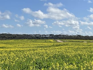 Rural / Farming commercial property for sale at 726 Lake Bryde Road Pingrup WA 6343 Rural / Farming commercial property for sale at 726 Lake Bryde Road Pingrup WA 6343