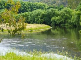 Rural / Farming commercial property for sale at Broadrib Leys Road Eskdale VIC 3701