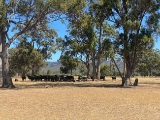 Rural / Farming commercial property for sale at Lot 2 Wonwondah-Dadswells Bridge Road Laharum VIC 3401 Rural / Farming commercial property for sale at Lot 2 Wonwondah-Dadswells Bridge Road Laharum VIC 3401