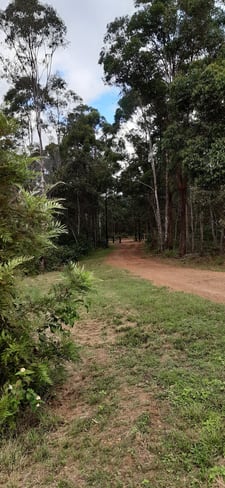 Rural / Farming commercial property sold at 281 DYER ROAD Googa Creek QLD 4314