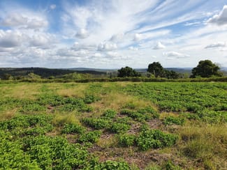Rural / Farming commercial property sold at 55 Eadie Road Blackbutt QLD 4314 Rural / Farming commercial property sold at 55 Eadie Road Blackbutt QLD 4314