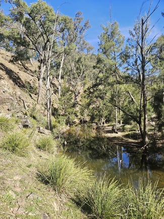 Rural / Farming commercial property for sale at 2358 & 326 Port Macquarie Road Rylstone NSW 2849 Rural / Farming commercial property for sale at 2358 & 326 Port Macquarie Road Rylstone NSW 2849