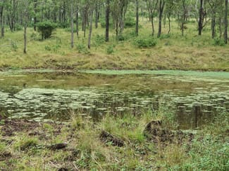 Rural / Farming commercial property sold at Pimpimbudgee QLD 4615 Rural / Farming commercial property sold at Pimpimbudgee QLD 4615