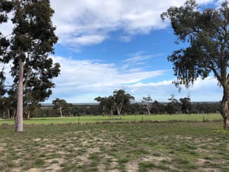 Rural / Farming commercial property for sale at 6465 Riddoch Highway Padthaway SA 5271 Rural / Farming commercial property for sale at 6465 Riddoch Highway Padthaway SA 5271