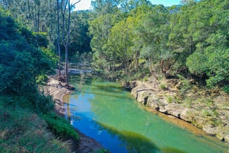 Rural / Farming commercial property for sale at 5311 Kyogle Road Cawongla NSW 2474 Rural / Farming commercial property for sale at 5311 Kyogle Road Cawongla NSW 2474