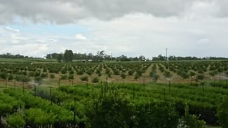 Rural / Farming commercial property for sale at Gregory River QLD 4660 Rural / Farming commercial property for sale at Gregory River QLD 4660