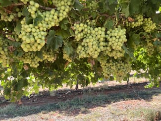 Rural / Farming commercial property for sale at 59 Chanters Lane Trentham Cliffs NSW 2738