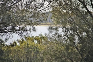 Rural / Farming commercial property sold at 660 Brockman Road Wagin WA 6315 Rural / Farming commercial property sold at 660 Brockman Road Wagin WA 6315