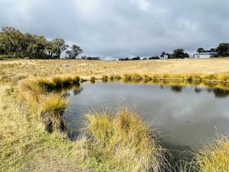 Rural / Farming commercial property for sale at 568 Airlie Stock Route Road Tamworth NSW 2340 Rural / Farming commercial property for sale at 568 Airlie Stock Route Road Tamworth NSW 2340