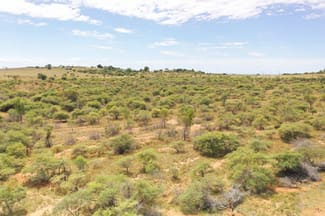 Rural / Farming commercial property for sale at 0 Great Britain Road Grand Secret QLD 4820 Rural / Farming commercial property for sale at 0 Great Britain Road Grand Secret QLD 4820