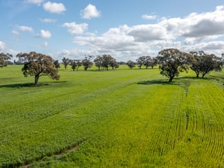 Rural / Farming commercial property for sale at 1 Humeden Road Collendina NSW 2646 Rural / Farming commercial property for sale at 1 Humeden Road Collendina NSW 2646
