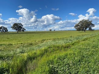 Rural / Farming commercial property sold at 00 Peacock Road Kerang VIC 3579