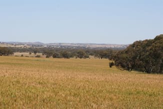 Rural / Farming commercial property for sale at . Boramin & Mulukine Road Grass Valley WA 6403 Rural / Farming commercial property for sale at . Boramin & Mulukine Road Grass Valley WA 6403